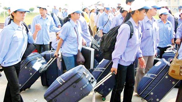 Xuất khẩu lao động Nhật Bản có thực sự là cơ hội?